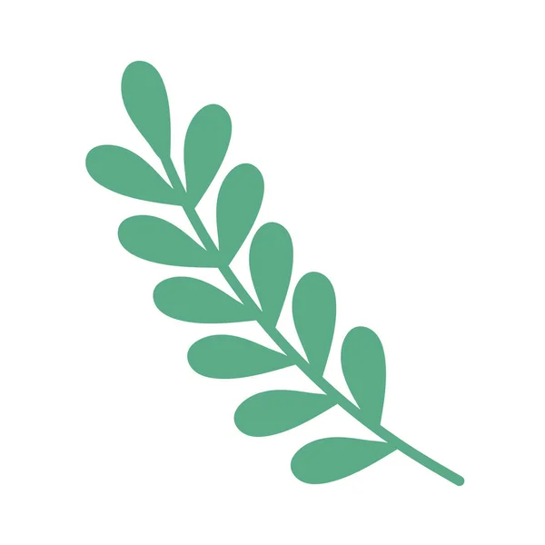 Branch Leaves Plant Nature Icon — Stock Vector