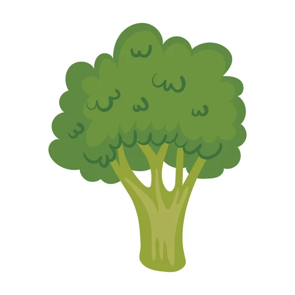 Brokoli Segar Sayuran Makanan Sehat - Stok Vektor