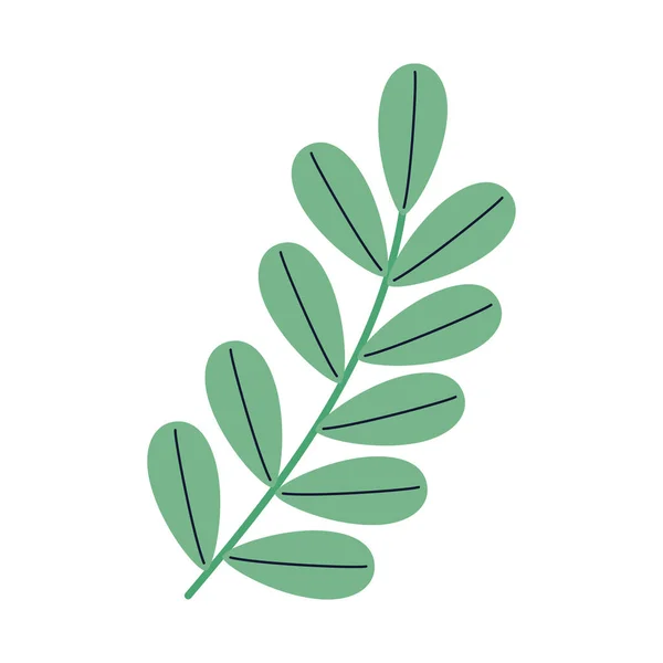 Green Branch Leafs Foliage — Archivo Imágenes Vectoriales