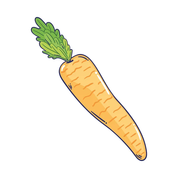 Икона Здоровой Пищи Моркови — стоковый вектор