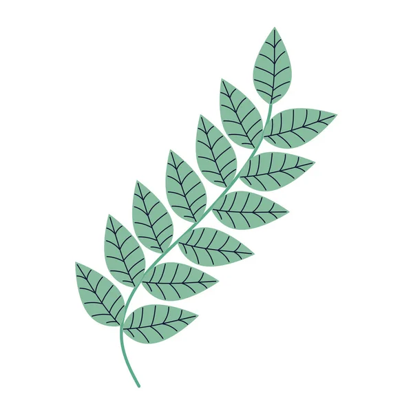 Branch Leafs Plant Foliage Nature Icon —  Vetores de Stock
