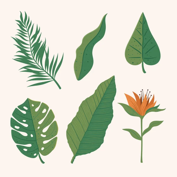 six floral jungle set icons