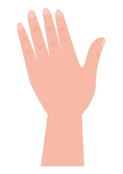 Mano Humana Gesto Abierto Icono — Vector de stock