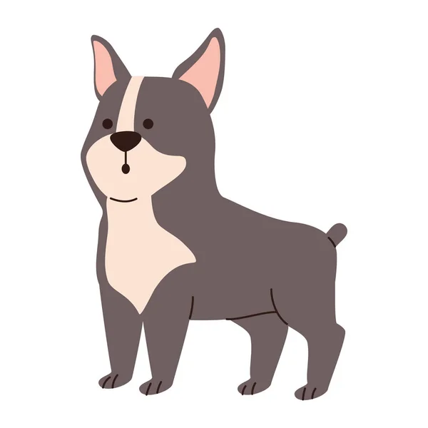 Cute Gray Dog Pet Character — Vector de stock