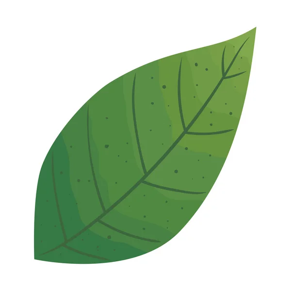 Leaf Green Nature Isolated Icon — 图库矢量图片
