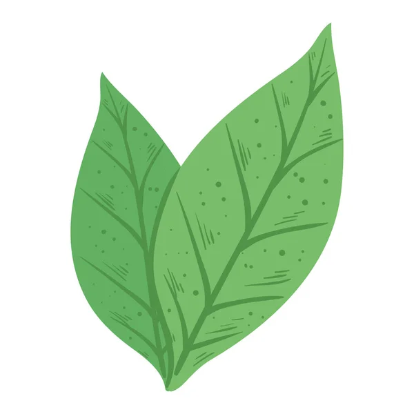 Leafs Plant Green Nature Icon — ストックベクタ