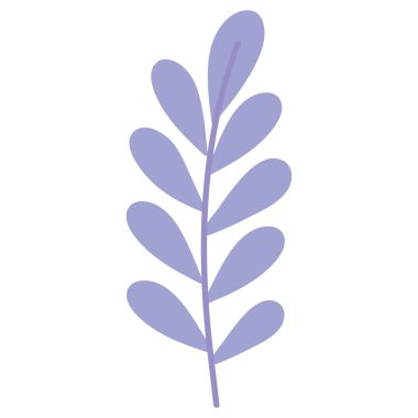 lilac branch with leafs foliage