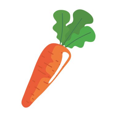 taze havuç sebze sağlıklı ikon