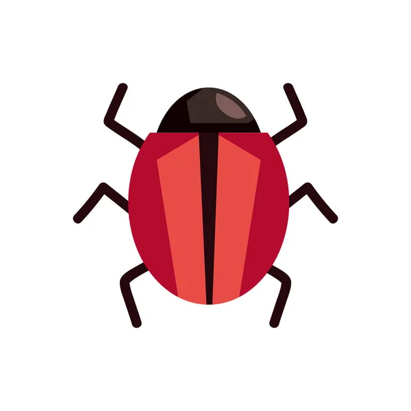 Bug Insect Animal Icon Isolated — Stock Vector