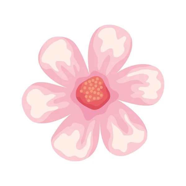Pink Flower Garden Decoration Nature — Stockový vektor