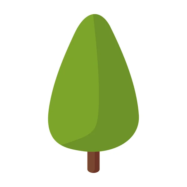 Tree Isometric Pine Plant Icon —  Vetores de Stock