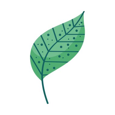 Yaprak bitkisi yaprağı doğa simgesi