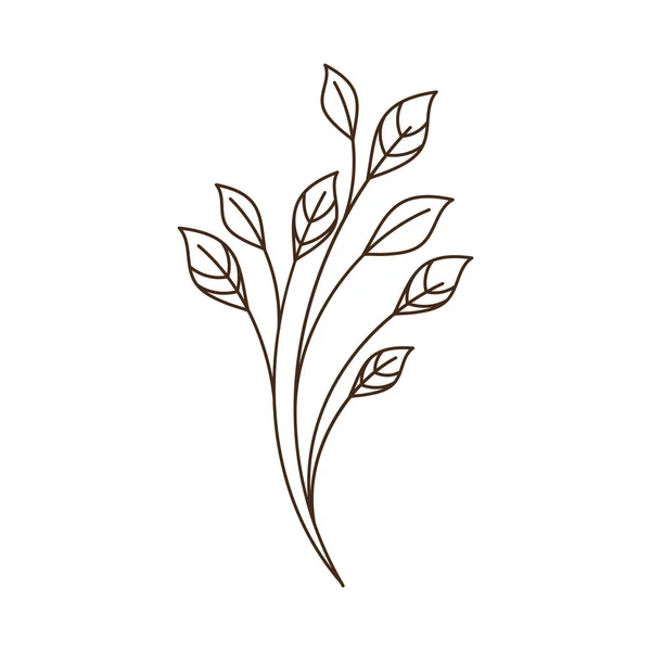 Leafs Plant Branch Icon — Stockvektor