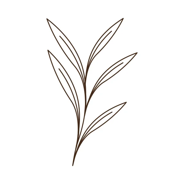 Steam Leafs Foliage Icon — Vector de stock