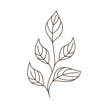 Yaprak yaprağı simgesine sahip dal