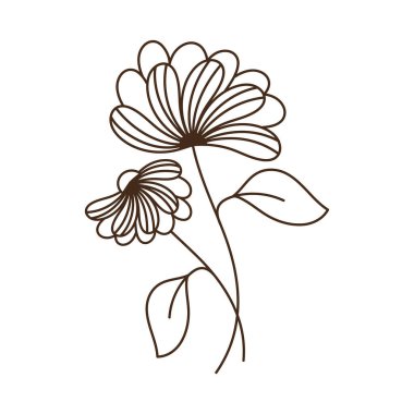 two garden flowers and leafs