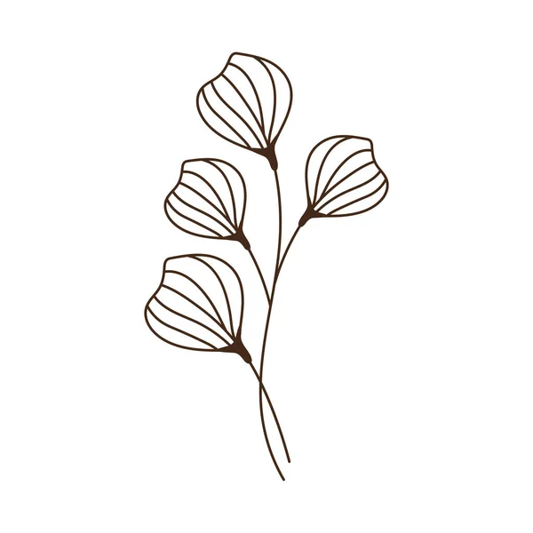 Four Garden Flowers Nature Icon — 图库矢量图片