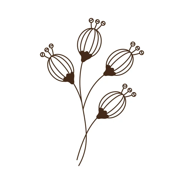 Four Garden Flowers Nature Icon — Vetor de Stock