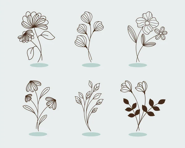 Six Flowers Garden Set Icons — Stock Vector
