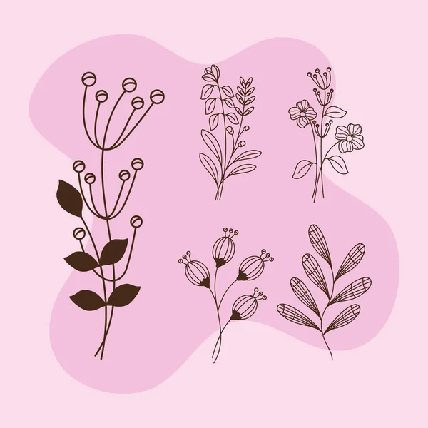 Five Flowers Garden Set Icons — Archivo Imágenes Vectoriales