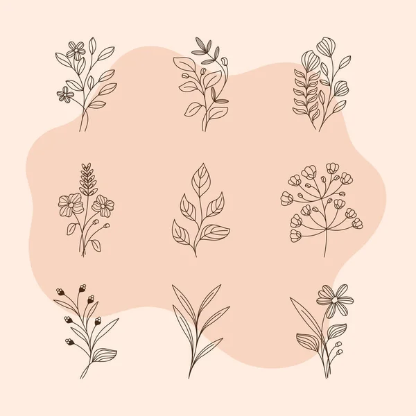 Девять Цветков Садовый Набор Икон — стоковый вектор