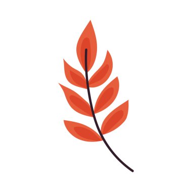 orange branch with leafs foliage
