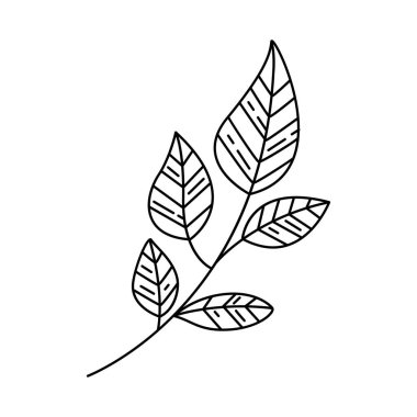 Yaprak çizgisi biçim simgesine sahip dal