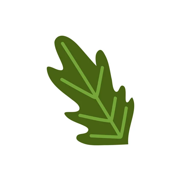 Coriander Leaf Vegetable Isolated Icon — Stock Vector