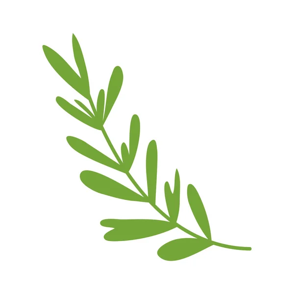 Branch Leafs Nature Icon — Stock Vector