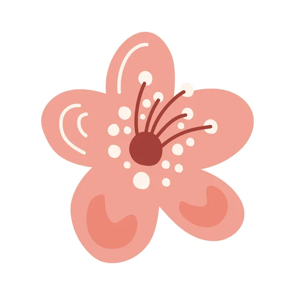 Ροζ Λουλούδι Διακόσμηση Κήπο Φύση — Διανυσματικό Αρχείο