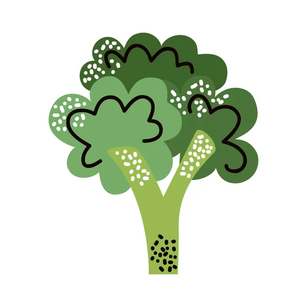 Broccoli Vegetable Healthy Food Icon — Stock Vector