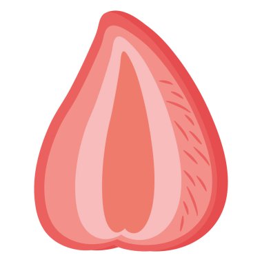 fresh half strawberry fruit icon