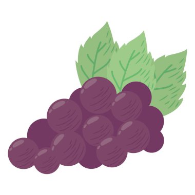 fresh grapes fruit healthy icon