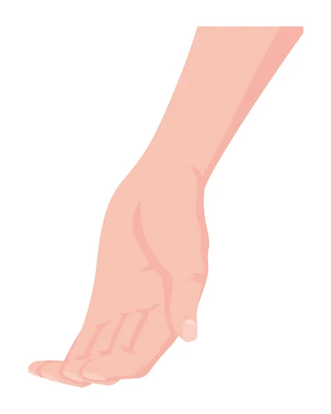 Hände Menschliche Empfangsgeste Symbol — Stockvektor