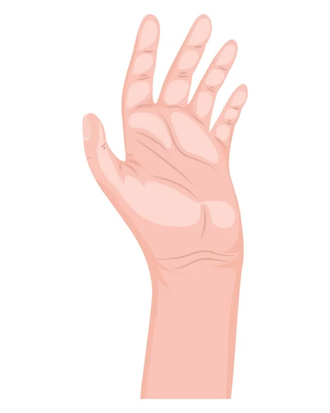 Hand Human Palm Gesture Icon —  Vetores de Stock