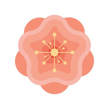 Pembe çiçek bahçesi dekorasyonu doğa