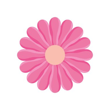 Pembe çiçek bahçesi dekorasyonu doğa