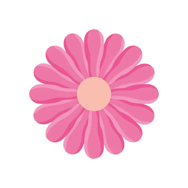 Pink Flower Garden Decoration Nature — Stock Vector