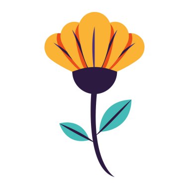 sarı çiçek bahçesi dekorasyonu doğa