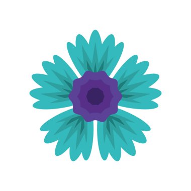 blue flower garden decoration nature