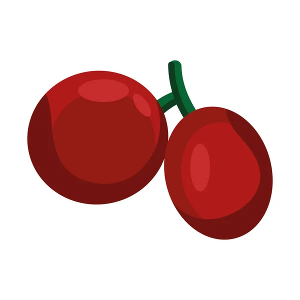 Coffee Raw Seeds Products Icon — Stock vektor
