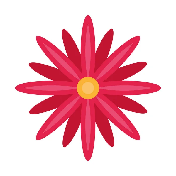 Red Flower Garden Decoration Nature — 图库矢量图片