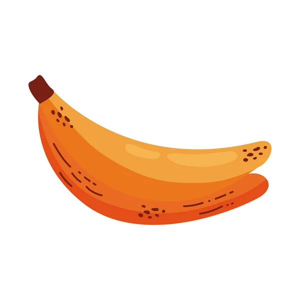 Bananas Fresh Fruit Healthy Icon — Stock Vector