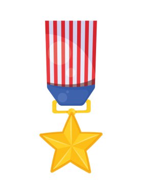 usa medal golden star icon