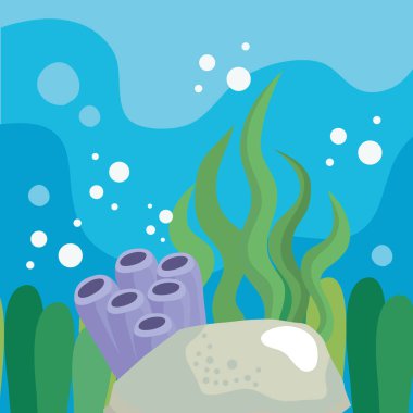 coral reef and stone scene
