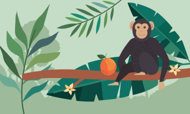 chimpanzee monkey in branch scene