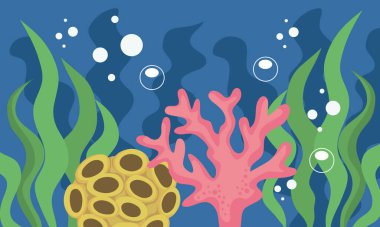 coral reef undersea nature scene