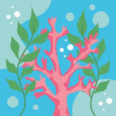 pink algae with seaweed coral reef scene