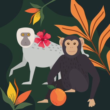 chimpanzee and baboon monkeys scene