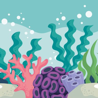 algaes colorful coral reef scene